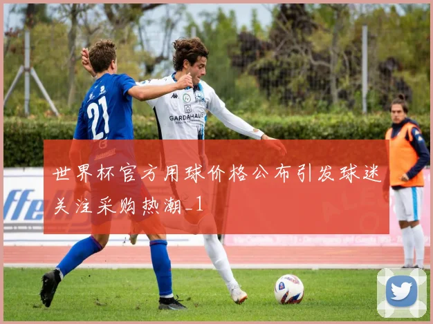 世界杯官方用球价格公布引发球迷关注采购热潮_1