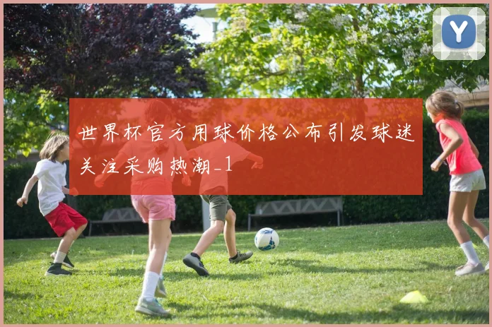 世界杯官方用球价格公布引发球迷关注采购热潮_1