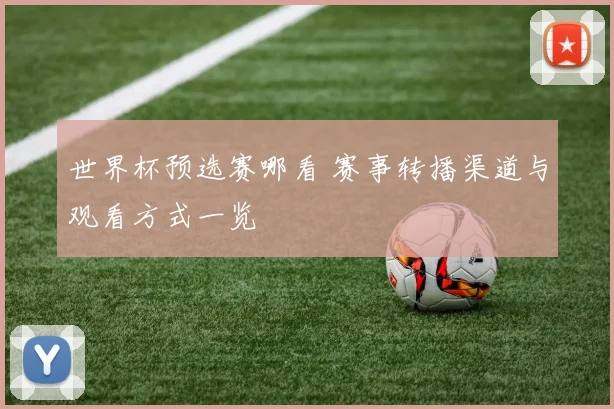 世界杯预选赛哪看 赛事转播渠道与观看方式一览