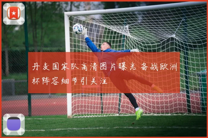 丹麦国家队高清图片曝光 备战欧洲杯阵容细节引关注