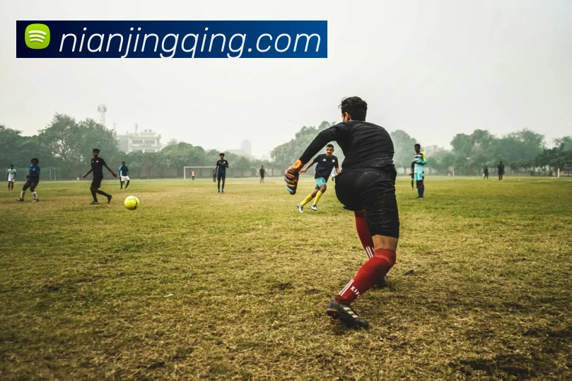 世界杯官方入口APP 高清赛事图